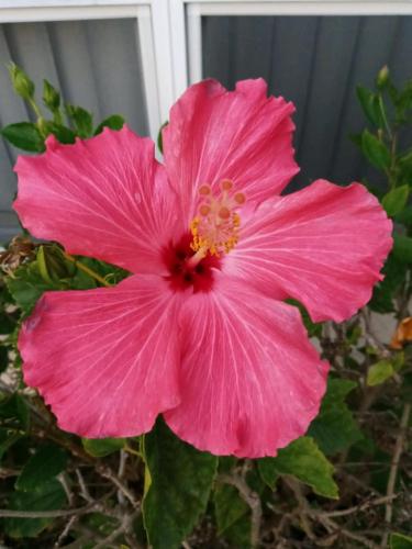 !cid_20210209_181834