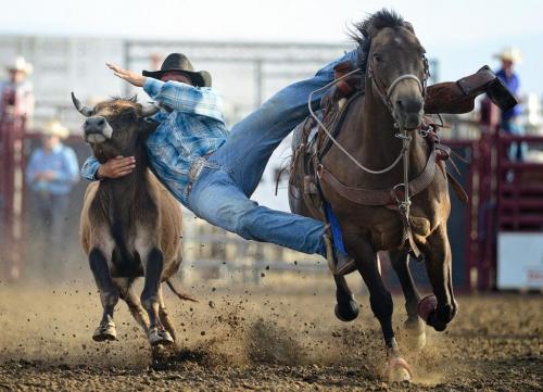 5e8da6892eb1f6530b3587ed1daf7c75