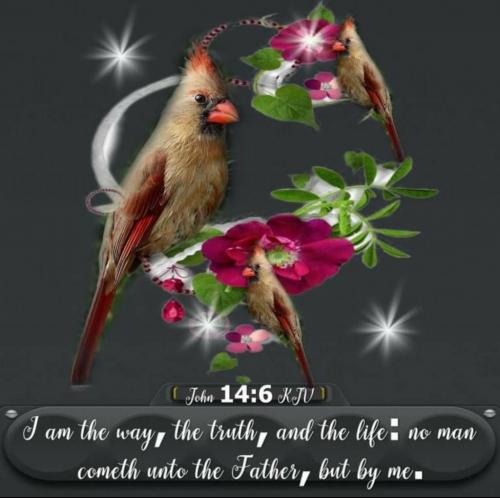 22:33:19 GMT-0600 (CST)