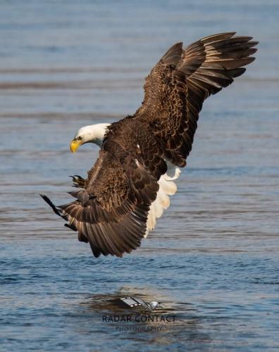 146905109_1335234810165485_2939203185091621070_o