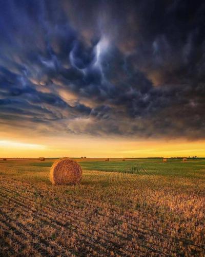 148506485_1794621827370688_7972606765633541682_o