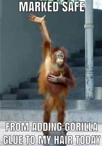 07:20:53 GMT-0500 (EST)