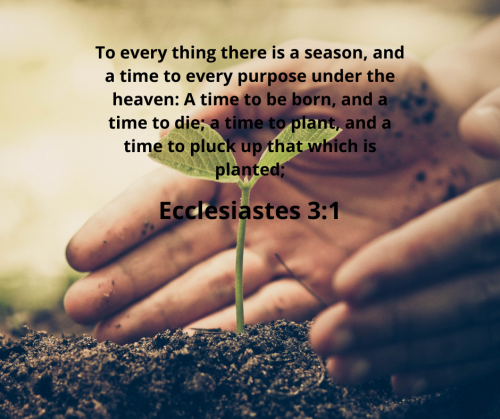 10:50:17 GMT-0600 (CST).image