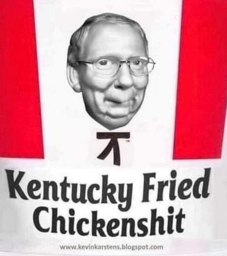 Rhino Mitch McConnell