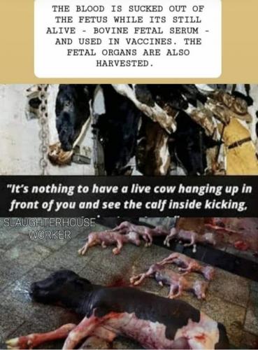 10:42:27 GMT+1300 (NZDT).image