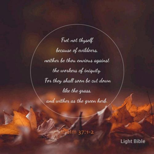 03:06:07 GMT-0500 (EST).*