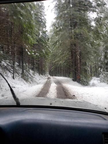 13:00:22 GMT-0800 (PST)