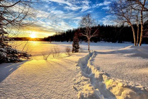 winter-landscape-636634_1280