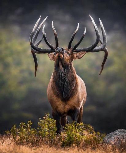 145260687_1789681767864694_5865140645782030339_o