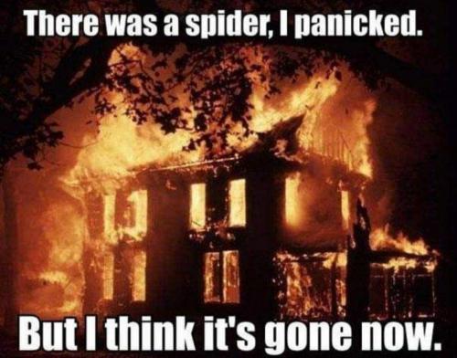 10:29:24 GMT-0700 (MST)