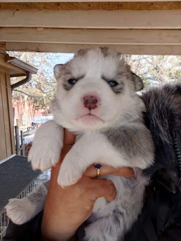 10:11:42 GMT-0500 (EST)