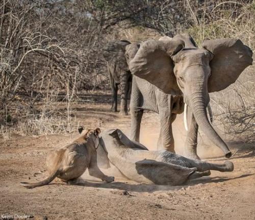 tumblr_1d18d36ca48a6f2ceaf9bae1e9595e94_5b73647c_540