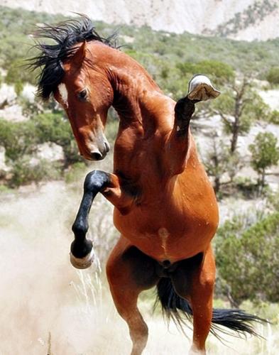 tumblr_1b0def23c726f852fcf830506f470411_5b470d7f_540