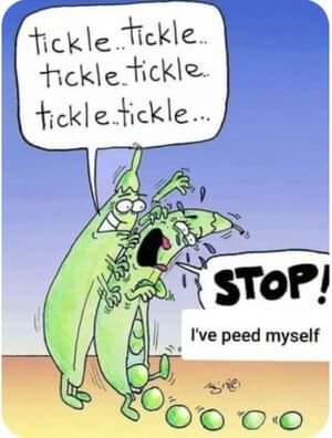 15:51:15 GMT-0500 (EST)