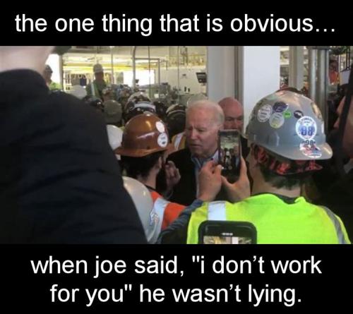 biden379