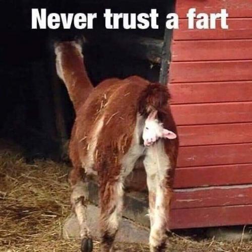 14:42:17 GMT-0600 (CST)