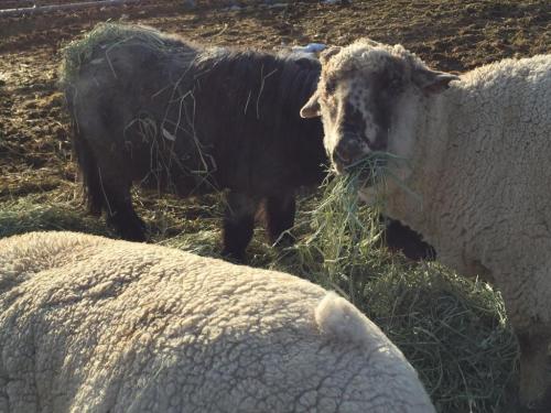 09:21:26 GMT-0800 (PST).image