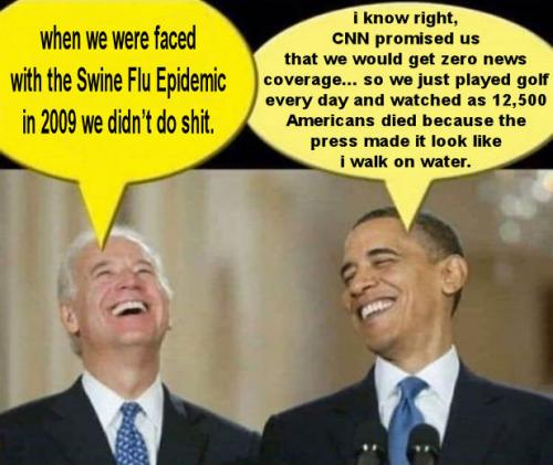 swine flu epidemic of 2009a