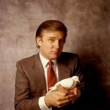 photo_2021-02-05_18-06-46