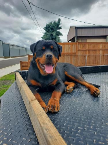 17:00:48 GMT-0800 (PST)