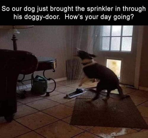 17:17:13 GMT-0600 (CST)