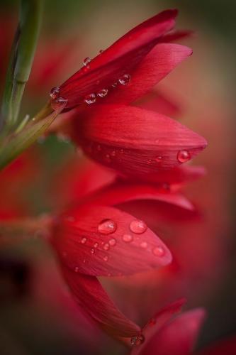 13:46:45 GMT-0600 (CST)