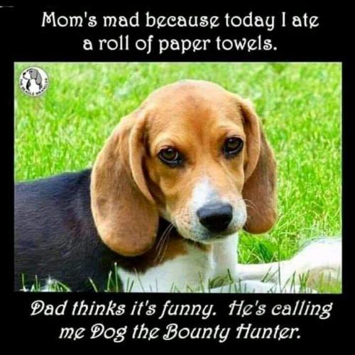 17:22:09 GMT-0500 (EST)