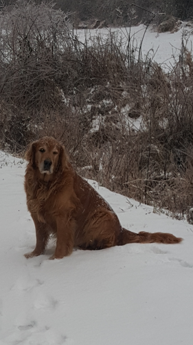 08:06:24 GMT-0500 (EST)