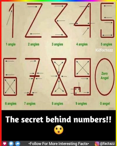 The_Design_Of_Numbers