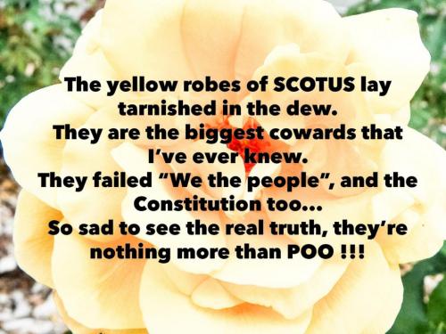 08:20:59 GMT-0800 (PST).image