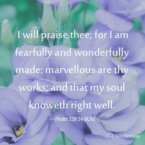 18:21:02 GMT-0600 (CST)