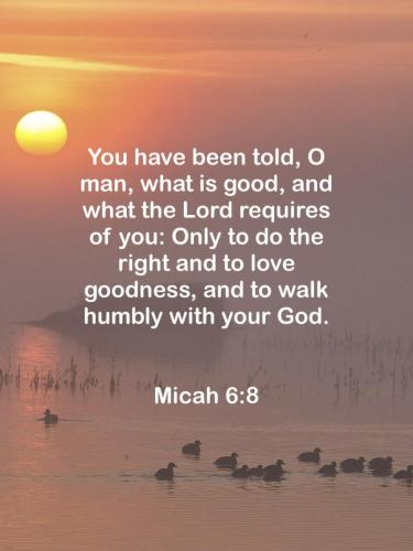 08:36:36 GMT-0500 (EST)