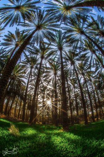 150244788_1514924248706920_3328770219238972994_o