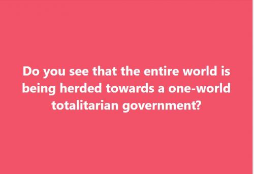 Do you see that the entire world is being herded towards a one-world totalitarian government