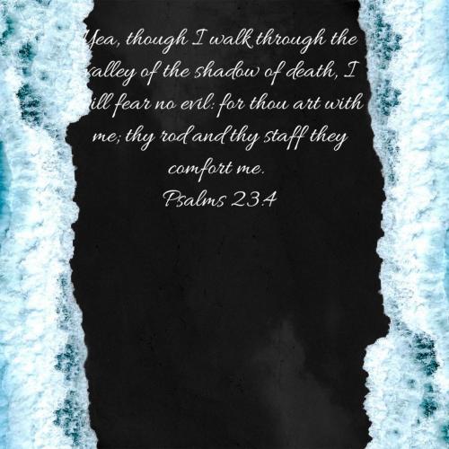 08:11:15 GMT-0500 (EST)