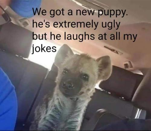 20:15:02 GMT-0600 (CST)