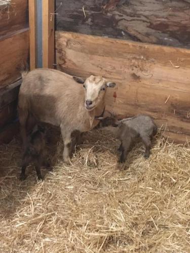 DDD69D7A-DF11-4042-B833-F873D596CCE0