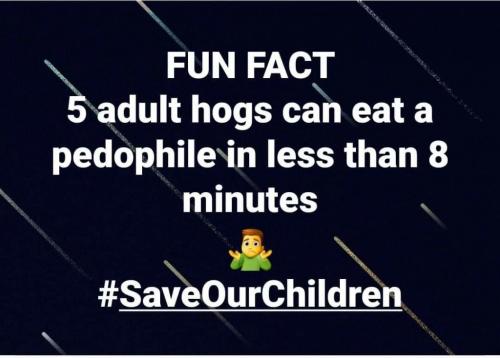 B392D850-C5D6-4CB9-9FD4-73F1F927525B