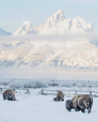 tumblr_cddb866527d8ba8cb1caafd972c71adc_60c21c03_540