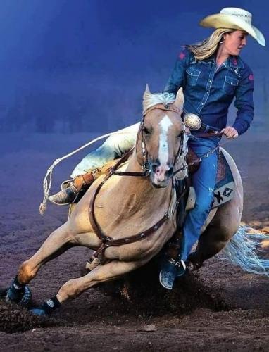 a742608e8ffb01949515fb0f3fa5cf62