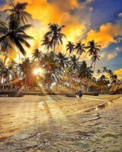 149808608_1798893236943547_3977216312240848393_o