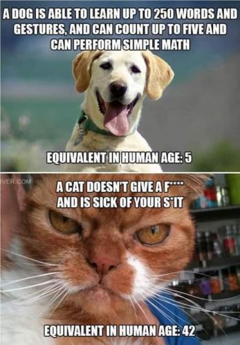 14:45:21 GMT-0800 (PST)