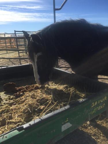 19:56:20 GMT-0800 (PST).image