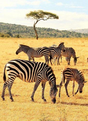 151594388_1516269451905733_4349198083207360233_o