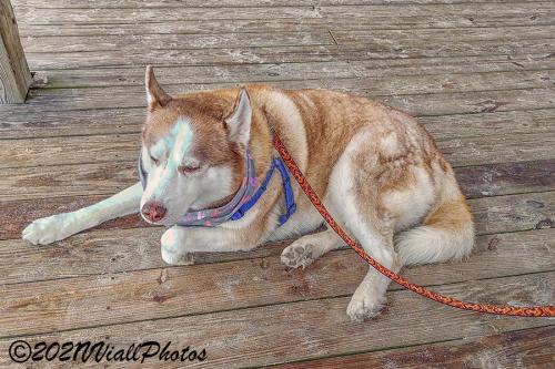 IMG_20210211_080314140_HDR