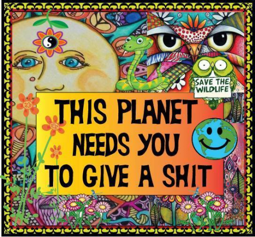 56412459_2404850422908465_619312603088289792_n