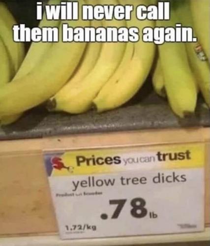 yellow tree dicks