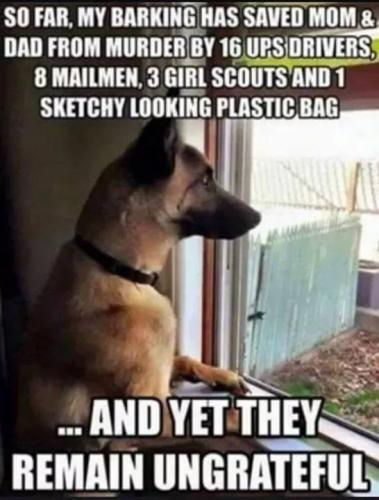 16:04:48 GMT-0800 (PST).image