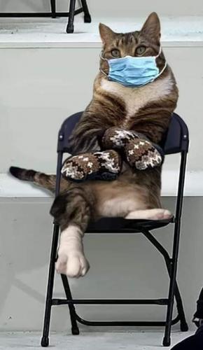 1b