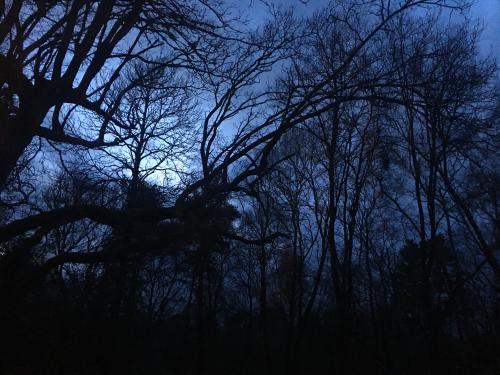 9788B7A5-5036-4A98-9141-DF0D1FAFF562